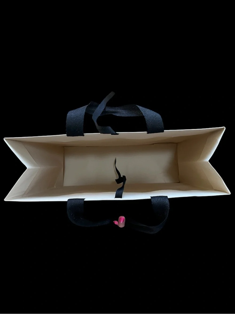 Authentic Valentino Shopping Bag